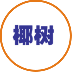 椰樹